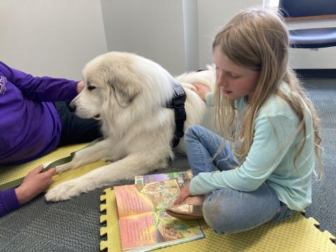 Girl reading to therapy dog