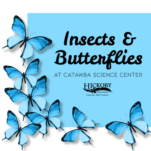 Insects & Butterflies