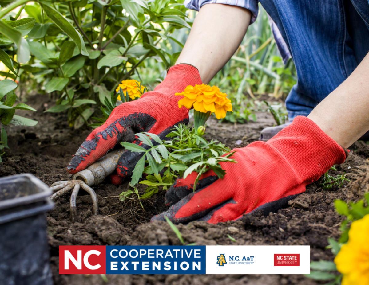 NC Cooperative Extension